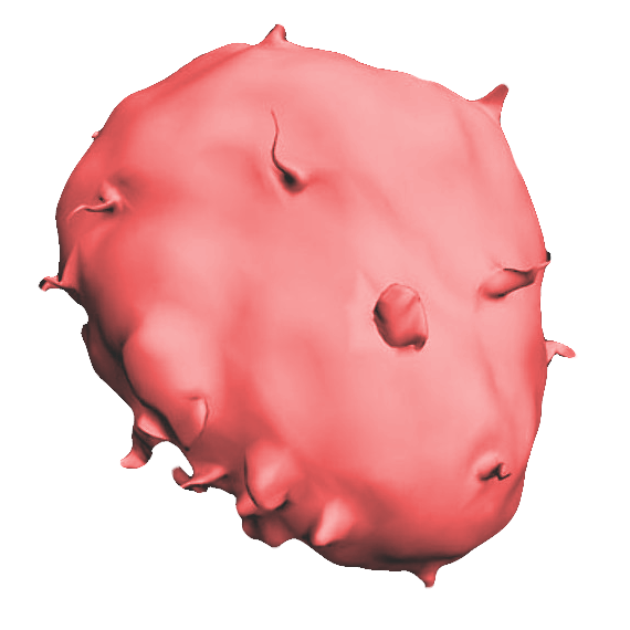 vl-scales/cell.png